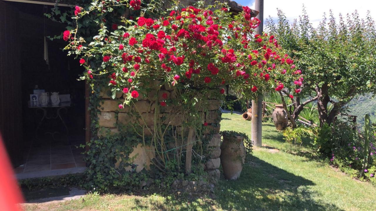 San Noto Antica Residenza Di Caccia Bed and Breakfast Ficarra Eksteriør billede